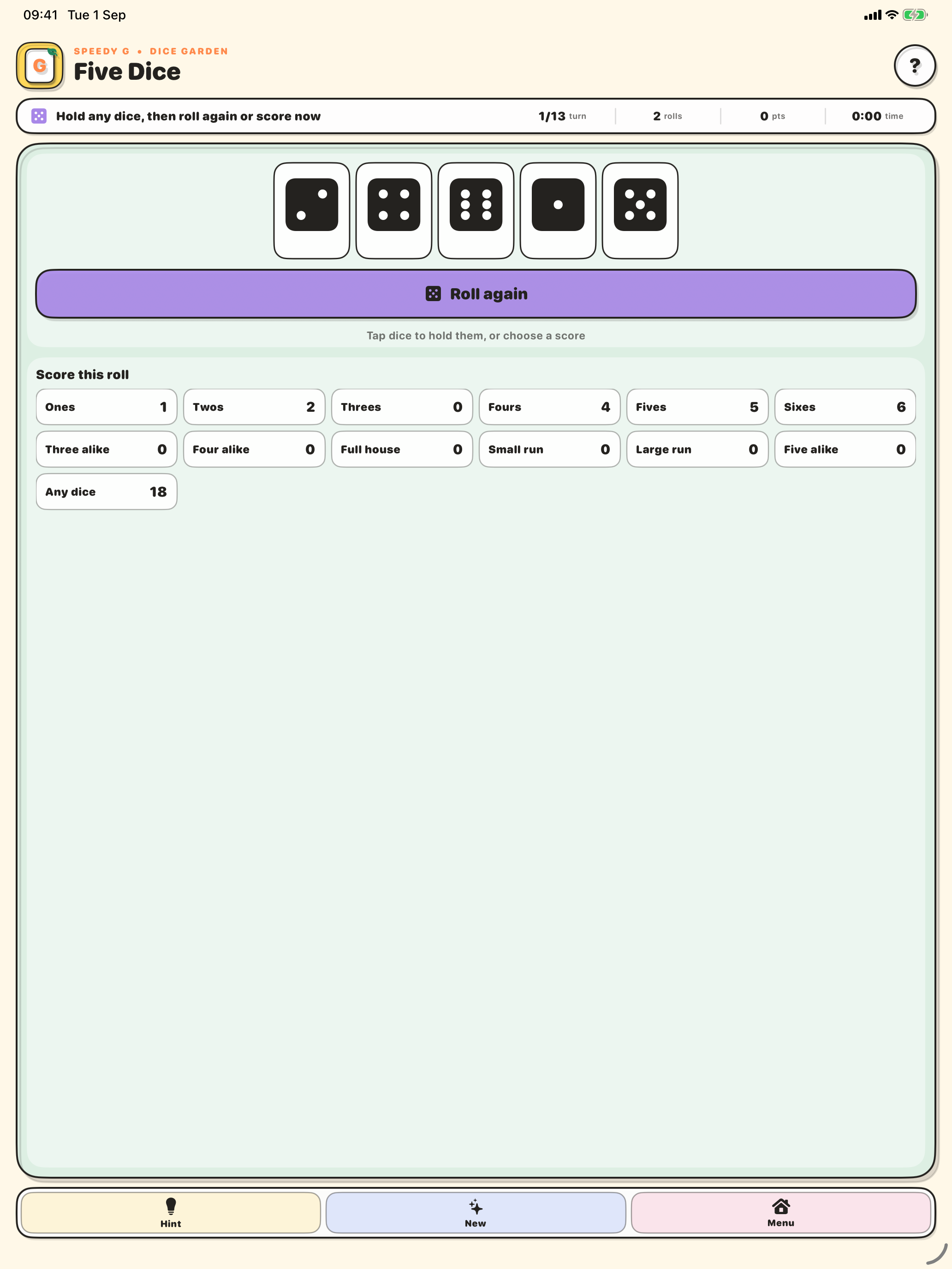 Five Dice game on iPad